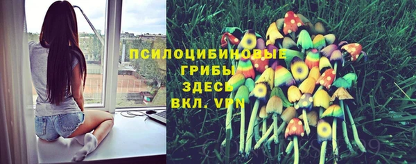 синтетический гашиш Алексеевка