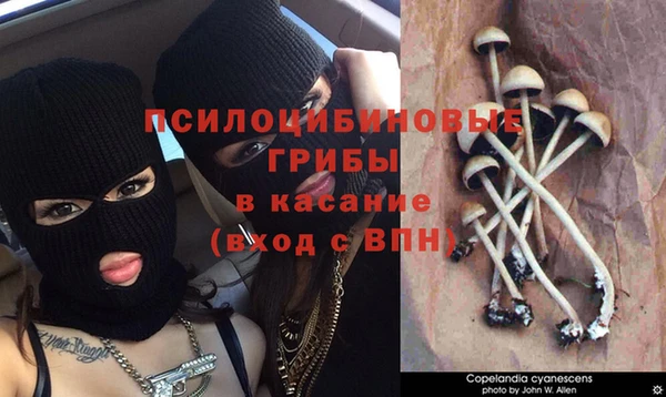 a pvp Алзамай