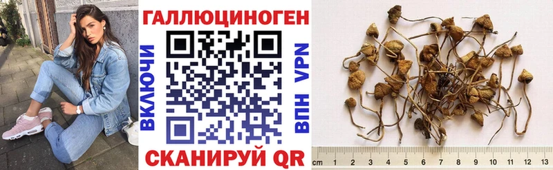 Галлюциногенные грибы Psilocybine cubensis  Верхоянск 